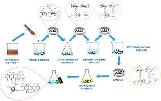 Removal of tetracycline from water using ethylenediamine-modified magnetic chitosan