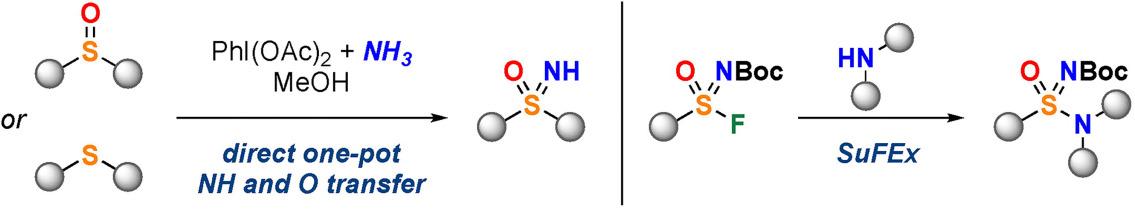 Synthesis of aza-S(VI) motifs