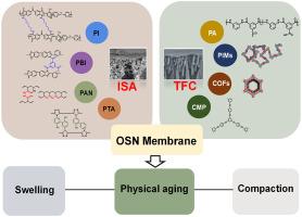 Polymer membranes for organic solvent nanofiltration: Recent progress, challenges and perspectives