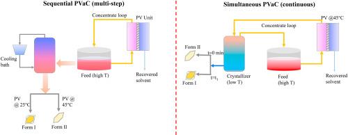 Pervaporation-assisted crystallization of active pharmaceutical ingredients (APIs)