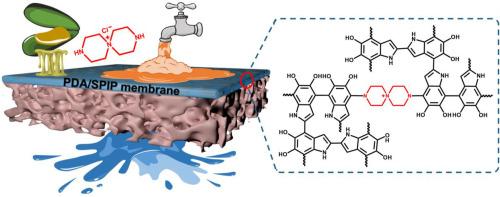 Bio-inspired polydopamine nanofiltration membranes modulated by spiro-piperazine