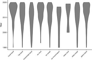 A review of anatomical terminology for the hip bone