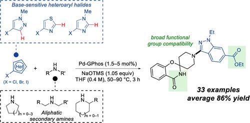 Pd-Catalyzed Amination of Base-Sensitive Five-Membered Heteroaryl Halides with Aliphatic Amines