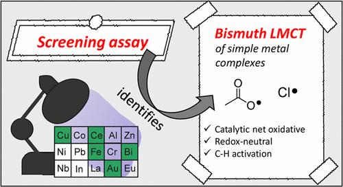 Synthetic Application of Bismuth LMCT Photocatalysis in Radical Coupling Reactions