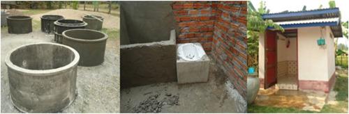 Improved latrines minimally impact Schistosoma mekongi transmission in Mekong islands