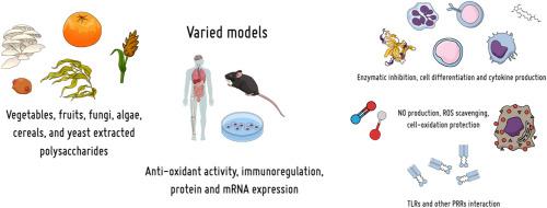 Nature's soothing solution: Harnessing the potential of food-derived polysaccharides to control inflammation