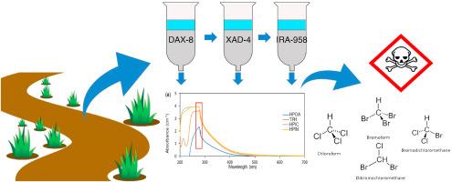 Using UV–Vis differential absorbance spectra of tropical peat water DOM fraction to determine trihalomethanes formation potential and its estimated cytotoxicity