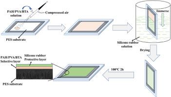 Designing high-performance pervaporation membranes with hierarchical hydrophobic-hydrophilic coating layers