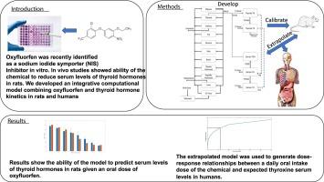 Cross species extrapolation of the disruption of thyroid hormone synthesis by oxyfluorfen using in vitro data, physiologically based pharmacokinetic (PBPK), and thyroid hormone kinetics models