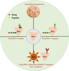 Unraveling the versatility of human serum albumin – A comprehensive review of its biological significance and therapeutic potential