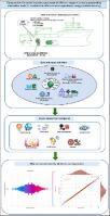 Comparative life cycle impact assessment of offshore support vessels powered by alternative fuels for sustainable offshore wind operations using machine learning