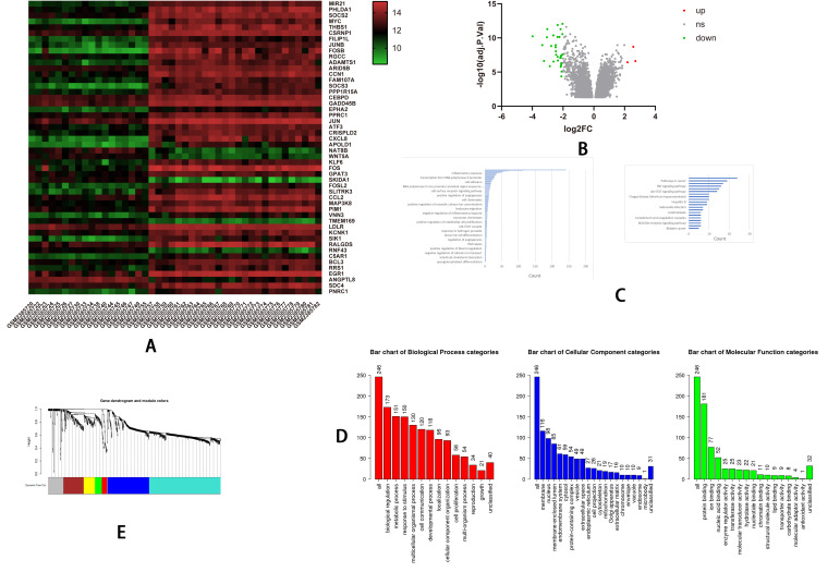 The Integrated Bioinformatic Assay of Genetic Expression Features and Analyses of Traditional Chinese Medicine Specific Constitution Reveal Metabolic Characteristics and Targets in Steatosis of Nonalcoholic Fatty Liver Disease.