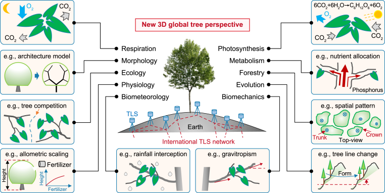 Co-developing an international TLS network for the 3D ecological understanding of global trees: System architecture, remote sensing models, and functional prospects