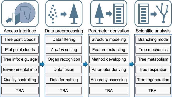 Co-developing an international TLS network for the 3D ecological understanding of global trees: System architecture, remote sensing models, and functional prospects