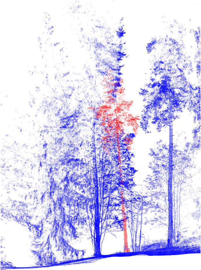 Co-developing an international TLS network for the 3D ecological understanding of global trees: System architecture, remote sensing models, and functional prospects