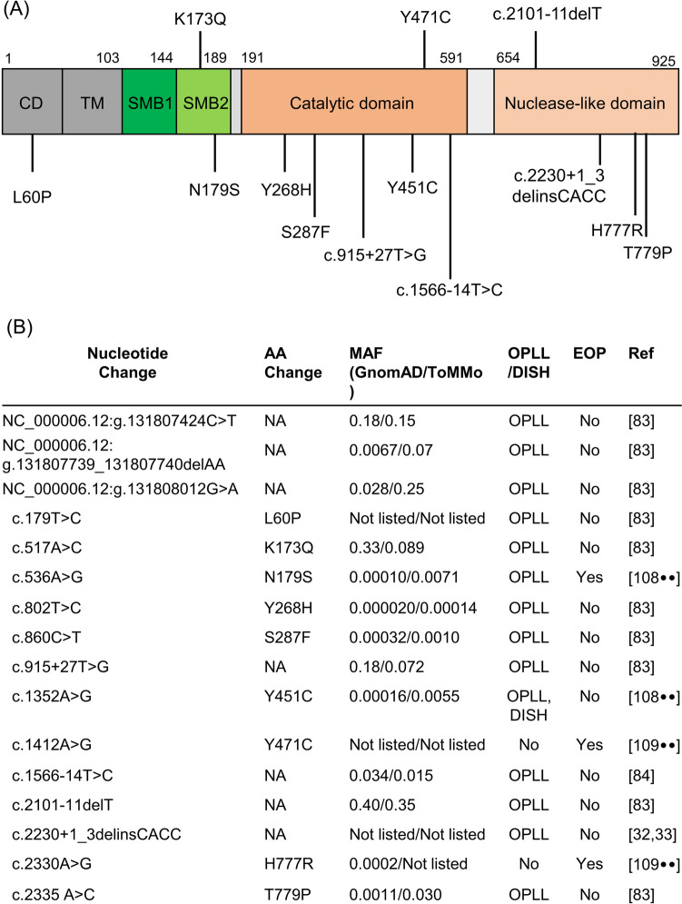 Genetics of Diffuse Idiopathic Skeletal Hyperostosis and Ossification of the Spinal Ligaments.