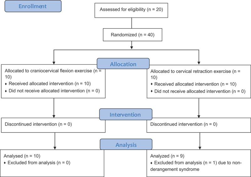 Immediate neck hypoalgesic effects of craniocervical flexion exercises and cervical retraction exercises among individuals with non-acute neck pain and a directional preference for retraction or extension: preliminary pretest-posttest randomized experimental design.