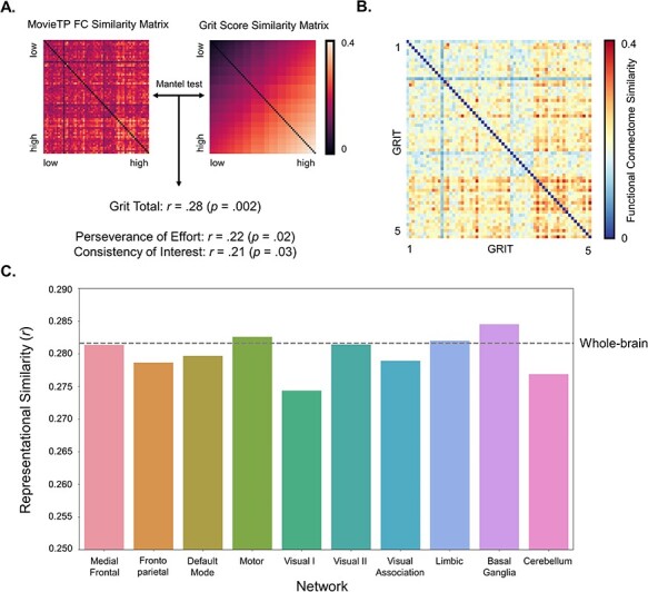 Similarity in functional connectome architecture predicts teenage grit.