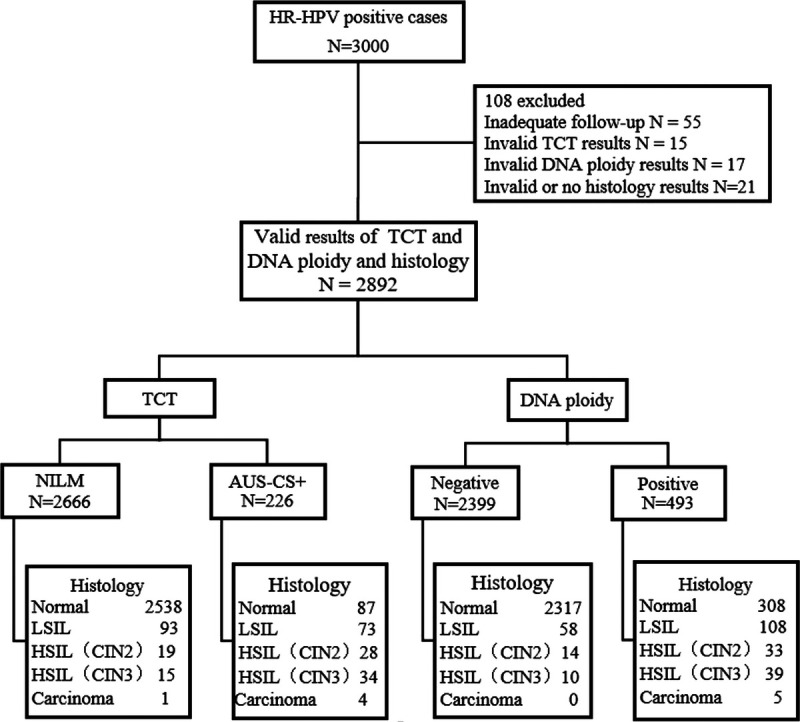 Triage Value of Cervical Exfoliated Cell DNA Ploidy Analysis in Cervical High-Risk Human Papillomavirus-Positive Women.