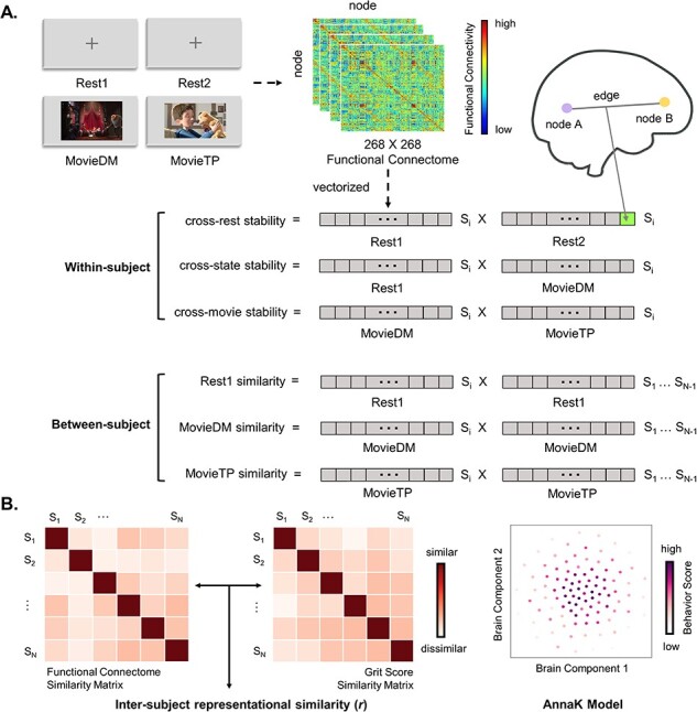 Similarity in functional connectome architecture predicts teenage grit.