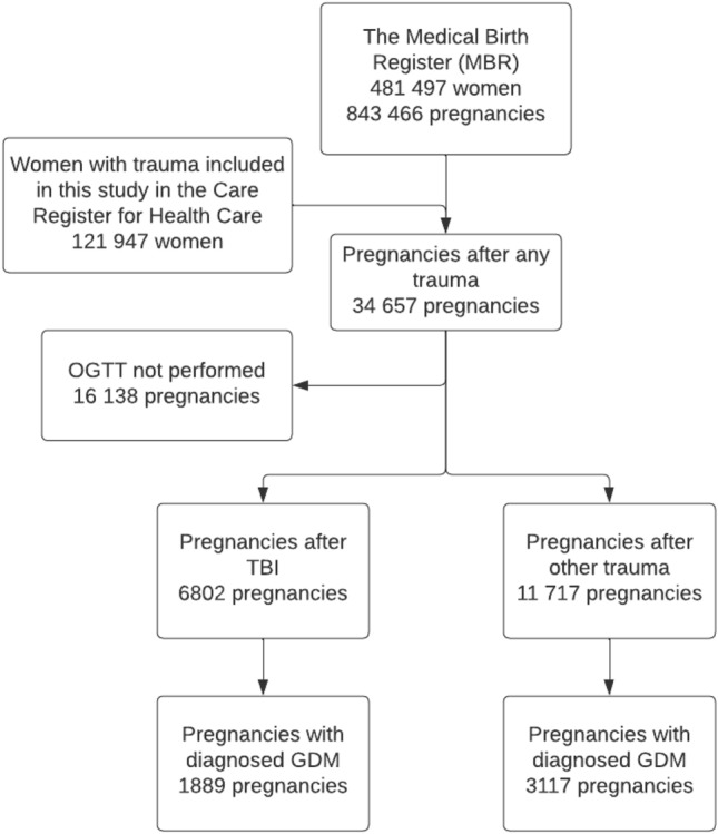 Previous traumatic brain injury is associated with an increased odds for gestational diabetes: a nationwide register-based cohort study in finland