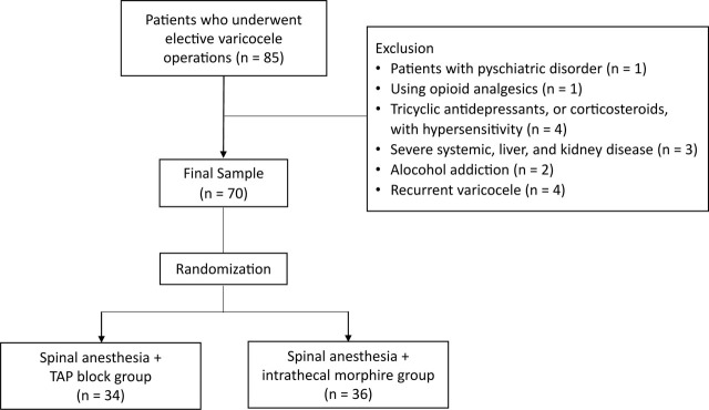 The effect of transversus abdominis plane block application on postoperative analgesia quality and patient satisfaction after varicocele surgery: a randomized clinical trial.