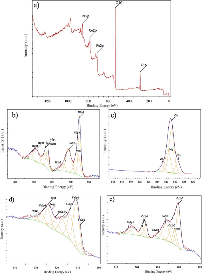 Biosynthesis of ternary NiCoFe<sub>2</sub>O<sub>4</sub> nanoflowers: investigating their 3D structure and potential use in gene delivery.