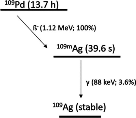 Au@109Pd core–shell nanoparticle conjugated to trastuzumab for the therapy of HER2+ cancers: studies on the applicability of 109Pd/109mAg in vivo generator in combined β− auger electron therapy