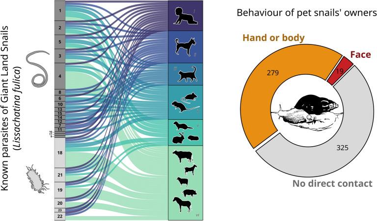 The global risk of infectious disease emergence from giant land snail invasion and pet trade.