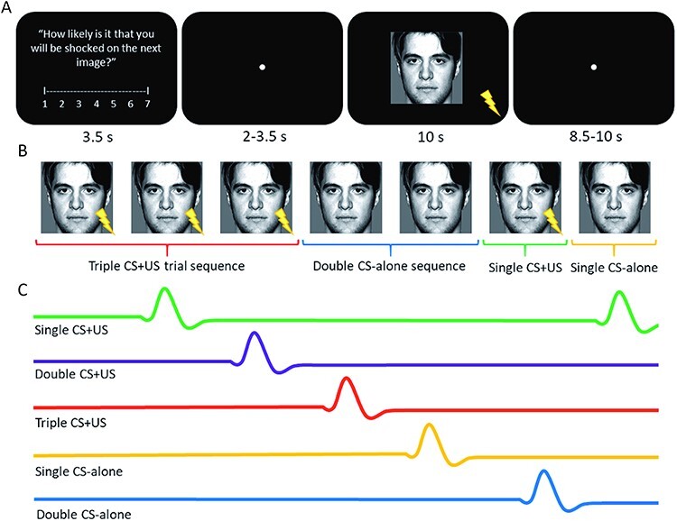 Conscious expectancy rather than associative strength elicits brain activity during single-cue fear conditioning.