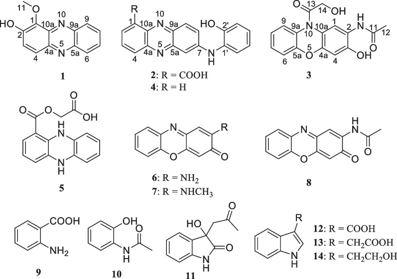 Cytotoxic phenazine and antiallergic phenoxazine alkaloids from an arctic Nocardiopsis dassonvillei SCSIO 502F