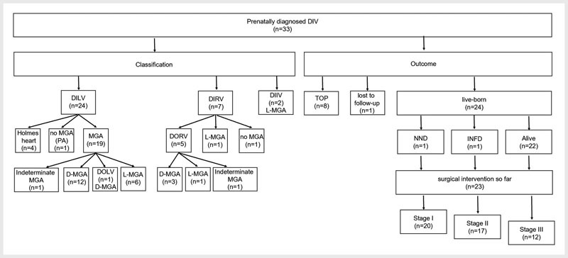 Prenatal Diagnosis, Associated Findings, and Postnatal Outcome in Fetuses with Double Inlet Ventricle (DIV).