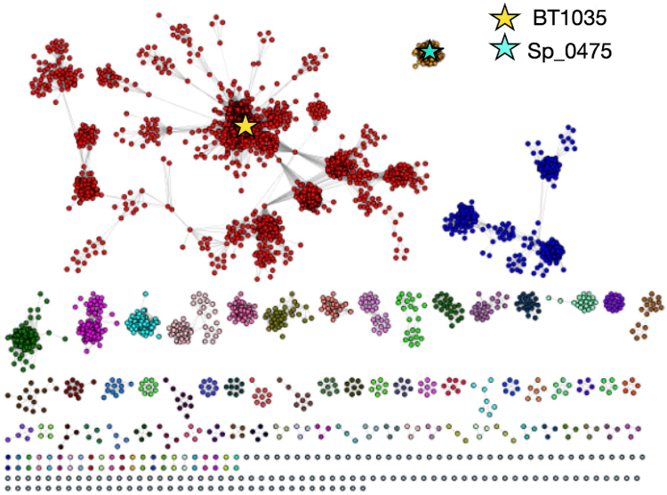 Characterization of a new family of 6-sulfo-N-acetylglucosaminidases.