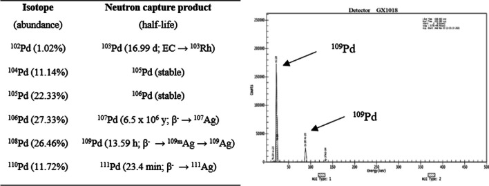 Au@109Pd core–shell nanoparticle conjugated to trastuzumab for the therapy of HER2+ cancers: studies on the applicability of 109Pd/109mAg in vivo generator in combined β− auger electron therapy