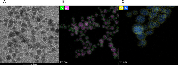 Au@109Pd core–shell nanoparticle conjugated to trastuzumab for the therapy of HER2+ cancers: studies on the applicability of 109Pd/109mAg in vivo generator in combined β− auger electron therapy