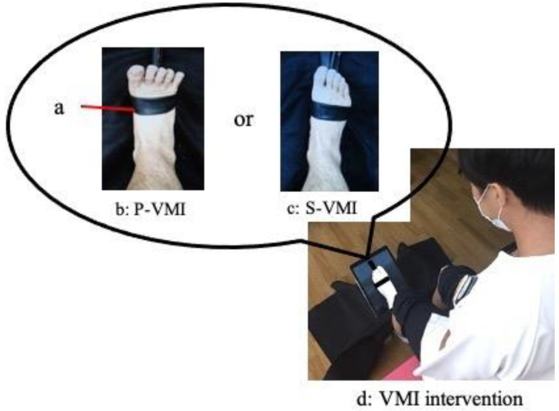 Effects of Visual-Motor Illusion via Image Videos Showing Increased Exercise Intensity on the Tibial Anterior during Sit-to-Stand Movement: A Study of Healthy Participants.