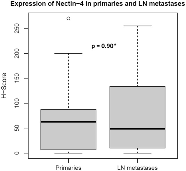 Nectin-4 is frequently expressed in primary salivary gland cancer and corresponding lymph node metastases and represents an important treatment-related biomarker.