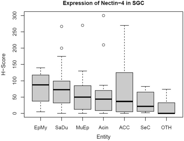 Nectin-4 is frequently expressed in primary salivary gland cancer and corresponding lymph node metastases and represents an important treatment-related biomarker.