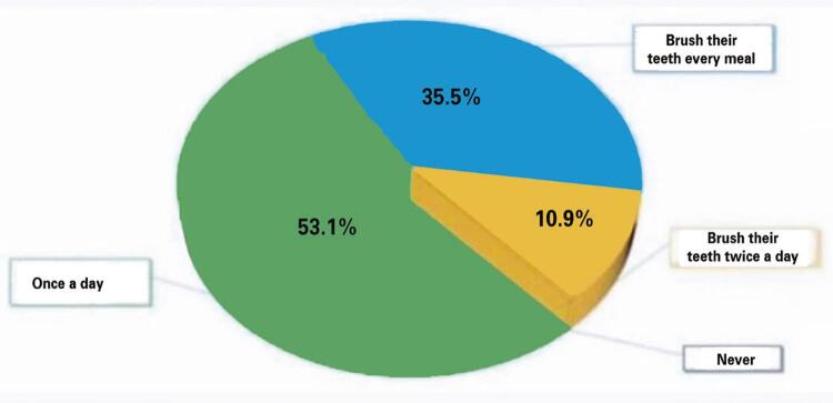 Epidemiological evaluation of patient compliance regarding oral health and hygiene during the COVID-19 period.