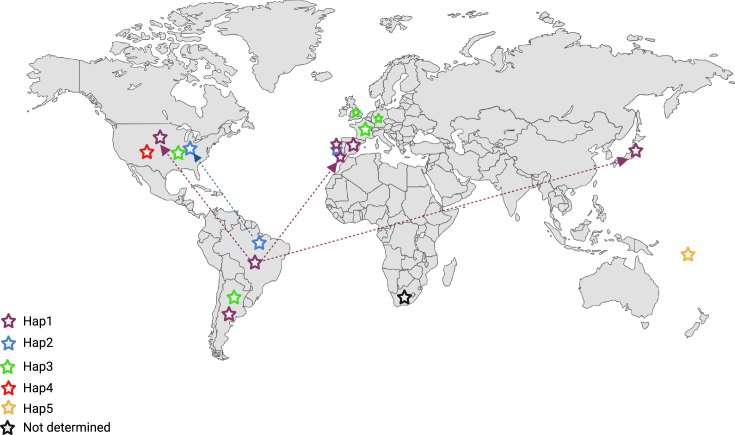 Multiple TP53 p.R337H haplotypes and implications for tumor susceptibility.