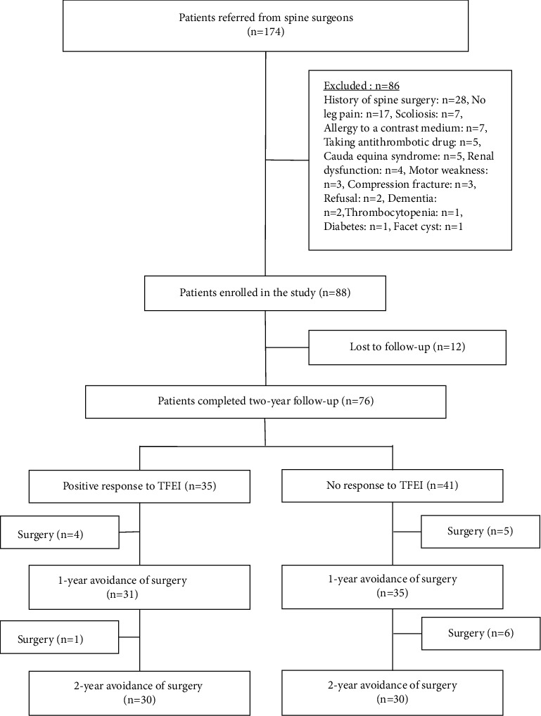 Does a Positive Response to Transforaminal Epidural Steroid Injection Identify Patients Who Can Avoid Surgery for Two Years?