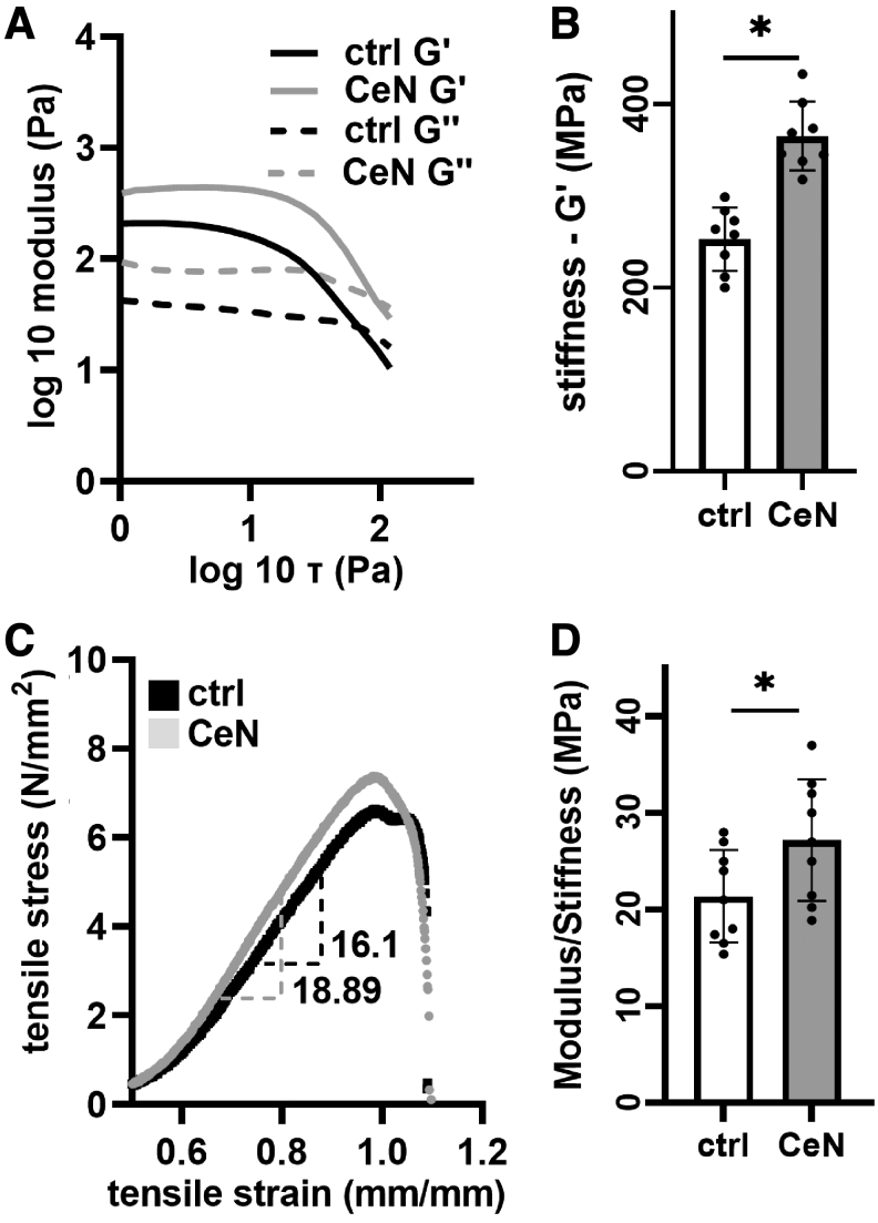 Cerium Nitrate Stiffens <i>In Vitro</i> Skin Models and Reduces <i>Pseudomonas aeruginosa</i> Pathogenicity and Penetration Through Skin Models.