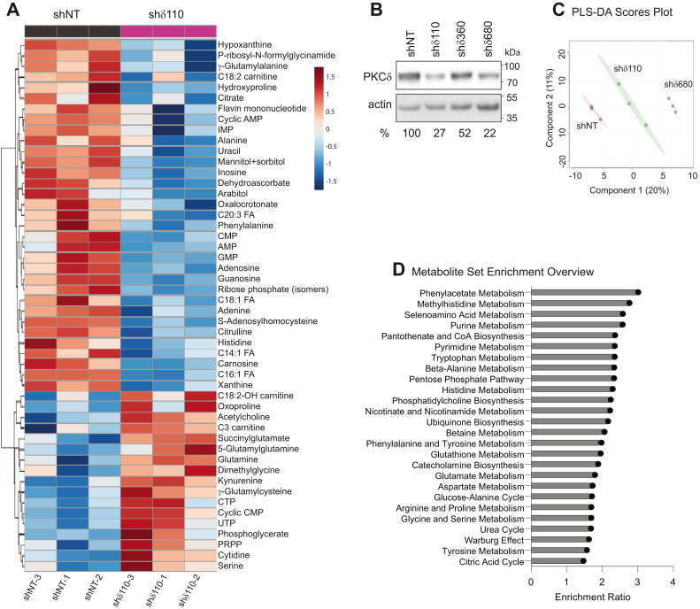 Metabolic reprogramming contributes to radioprotection by protein kinase Cδ.