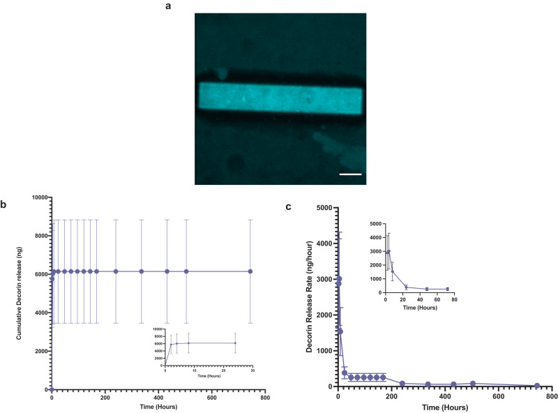 Local decorin delivery via hyaluronic acid microrods improves cardiac performance, ventricular remodeling after myocardial infarction.