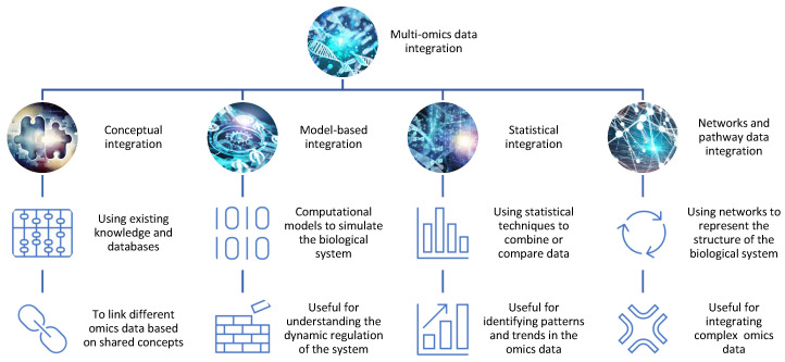 Multi-Omics Integration for the Design of Novel Therapies and the Identification of Novel Biomarkers.