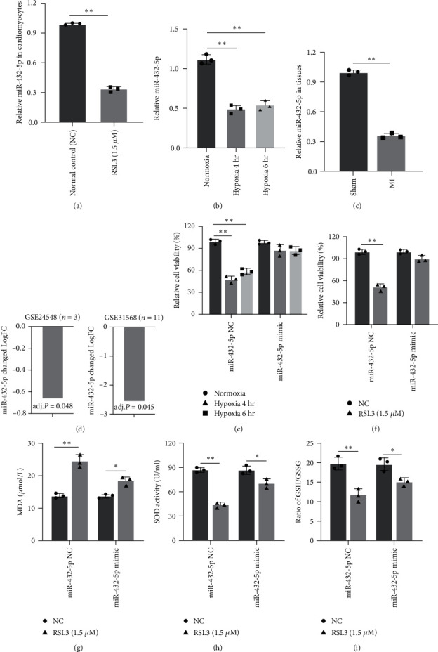 miR-432-5p Inhibits the Ferroptosis in Cardiomyocytes Induced by Hypoxia/Reoxygenation via Activating Nrf2/SLC7A11 Axis by Degrading Keap1.