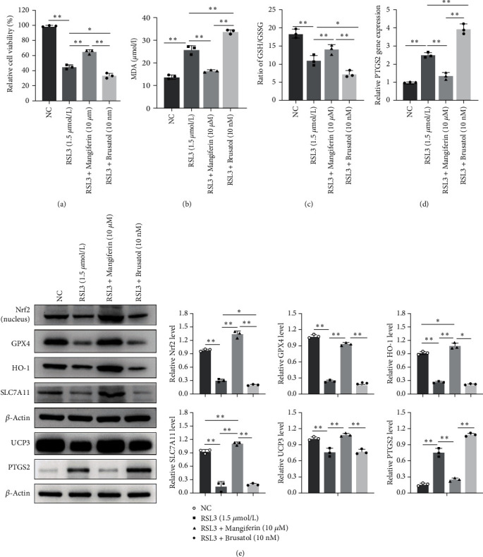 miR-432-5p Inhibits the Ferroptosis in Cardiomyocytes Induced by Hypoxia/Reoxygenation via Activating Nrf2/SLC7A11 Axis by Degrading Keap1.