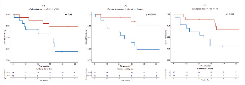 Adenosquamous cell carcinoma of the head and neck: a retrospective single institution series.