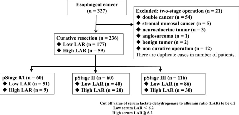 Is High Score of Preoperative Lactate Dehydrogenase to Albumin Ratio Predicting Poor Survivals in Esophageal Carcinoma Patients?