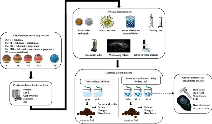 Sustainable Aquafeed Formulations Containing Insect Larval Meal and Grape Marc for the New Zealand Farmed Abalone.